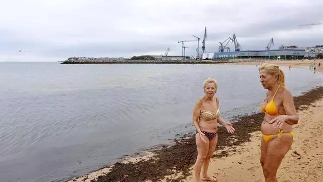 Vídeo: Precaución en la playa gijonesa de el Arbeyal tras las más de 300 carabelas portuguesas recogidas: "Hay que estar al tanto"