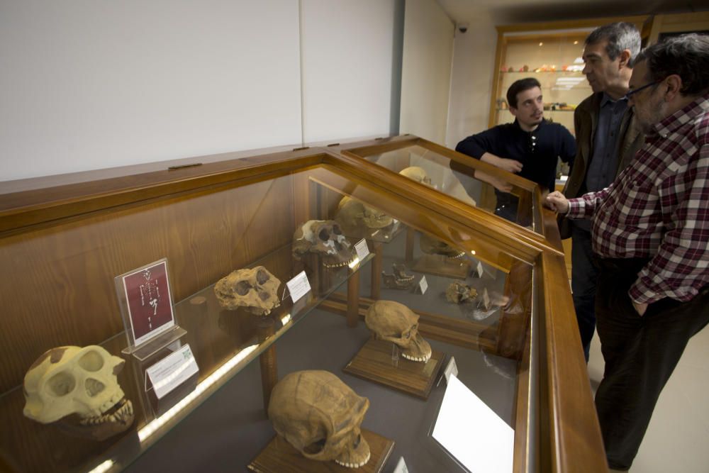 Nuevo Museo de Historia Natural