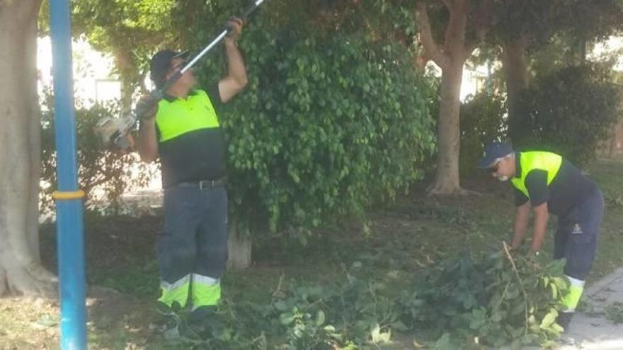 Dos operarios municipales trabajando en Orihuela.