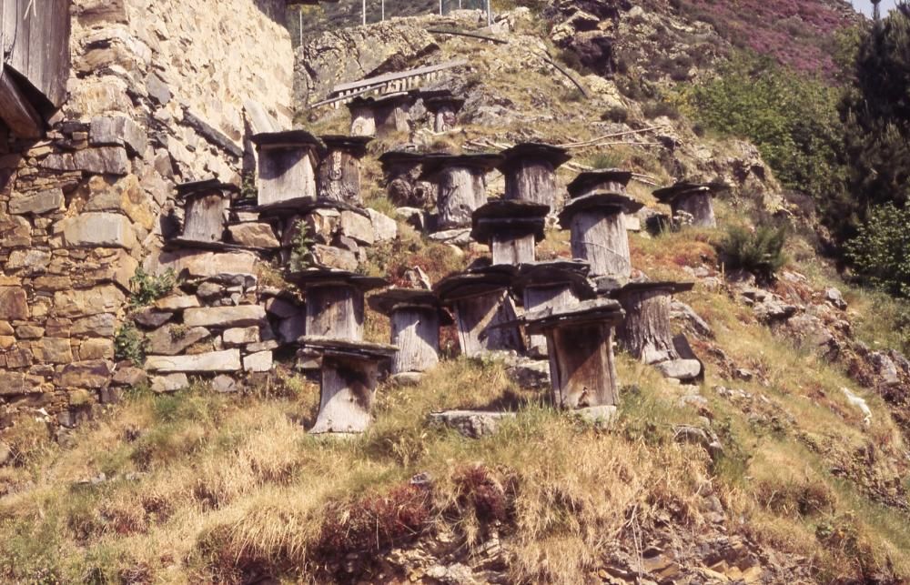 Fotografías de montaña donadas al Pueblo de Asturias