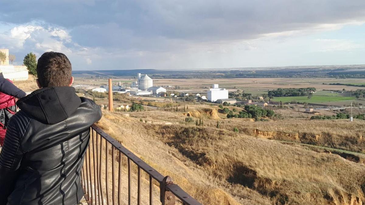 Un hombre mira hacia la planta azucarera ubicada en Toro. | Carmen Toro