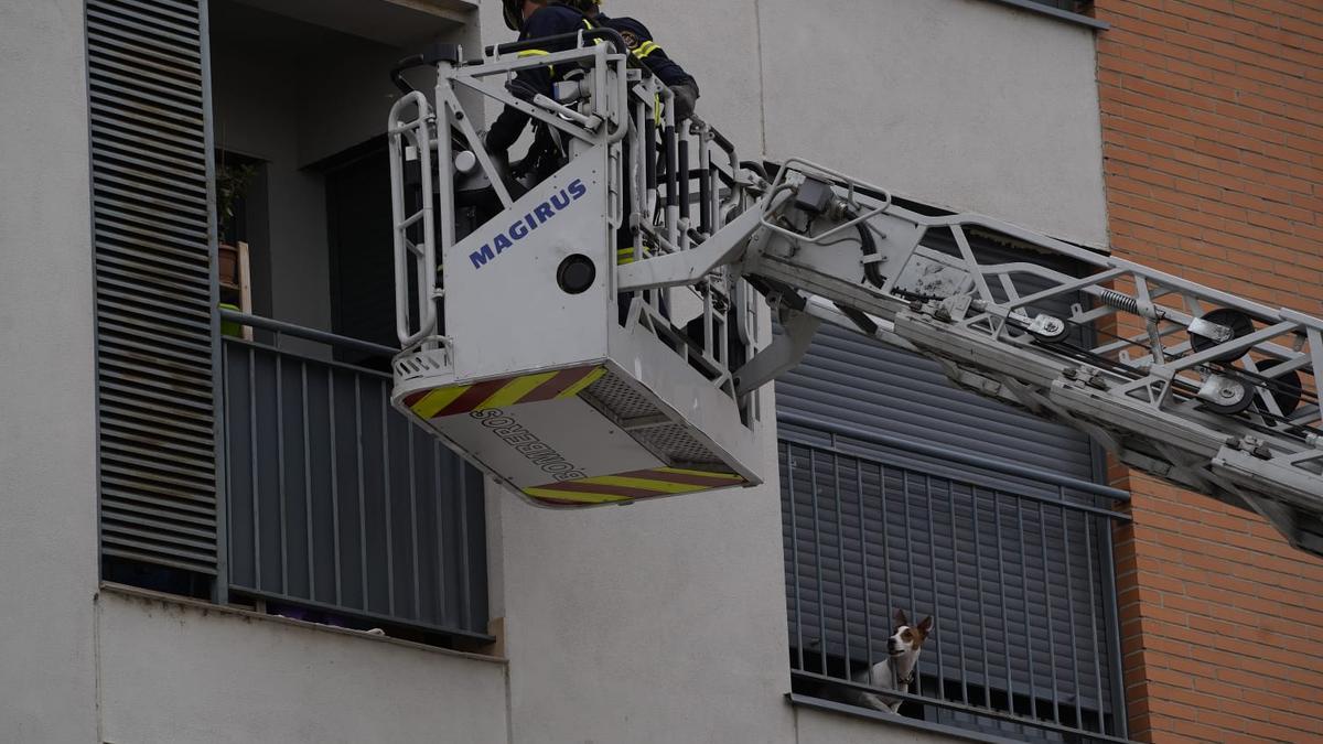 Los Bomberos de Zamora acceden al domicilio de la calle Barcelona. A la derecha, el perro que estaba ladrando.