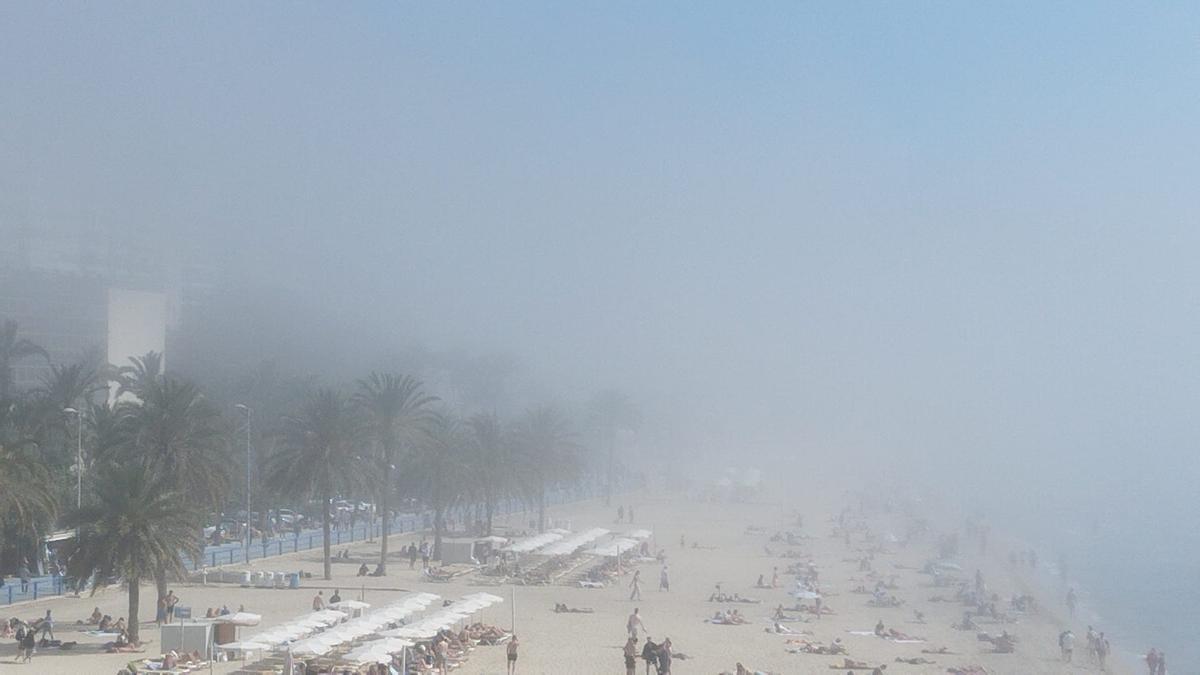 La playa del Postiguet cubierta por la niebla de advección este martes