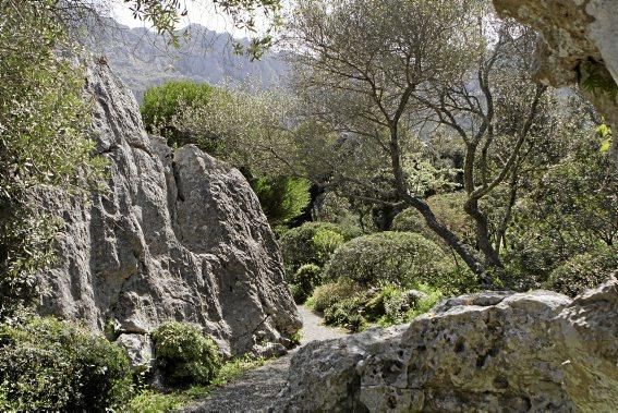 In Ariant blühen die mediterranen Pflanzen um die Wette. In dem von Heidi Gildemeister entworfenen Garten wird vieles den Launen der Natur und dem Zufall überlassen. Aber nicht alles.