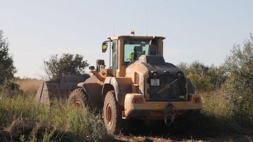 Las máquinas inician el desbroce previo del PAI Golf Sant Gregori