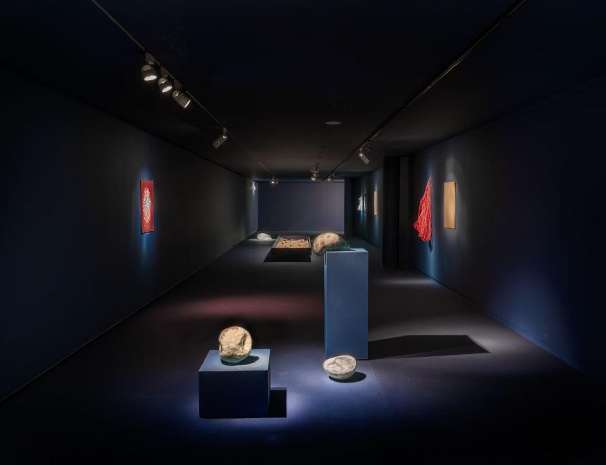 Parte de la exposición 'Territorios en tránsito'.