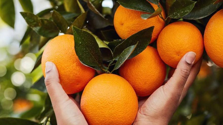 La mermelada de naranja que te devolverá a la niñez
