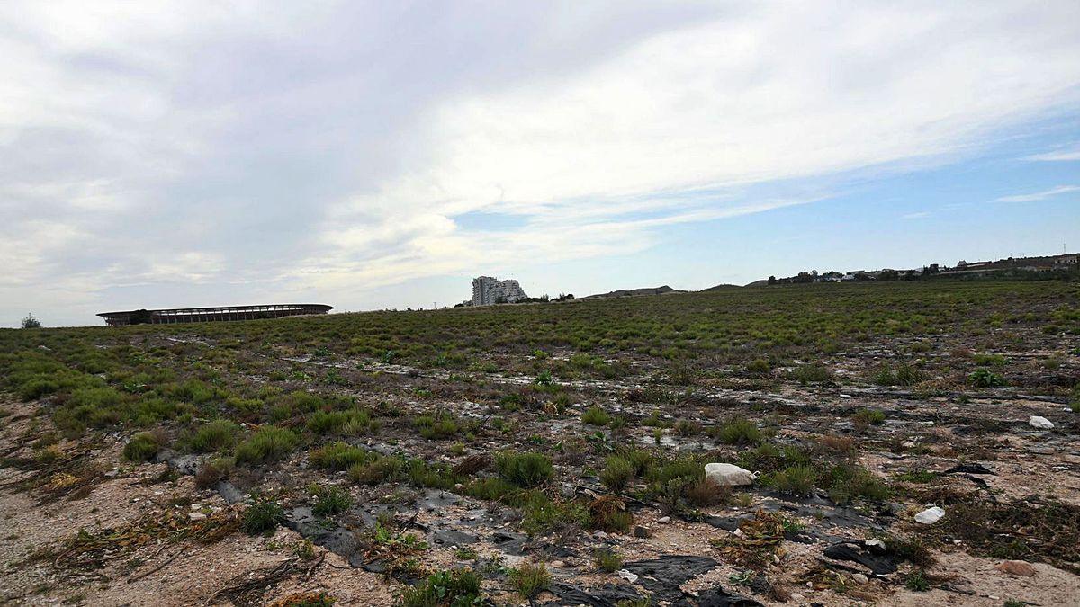 Terrenos de la zona norte de Murcia, con el estadio Nueva Condomina al fondo.