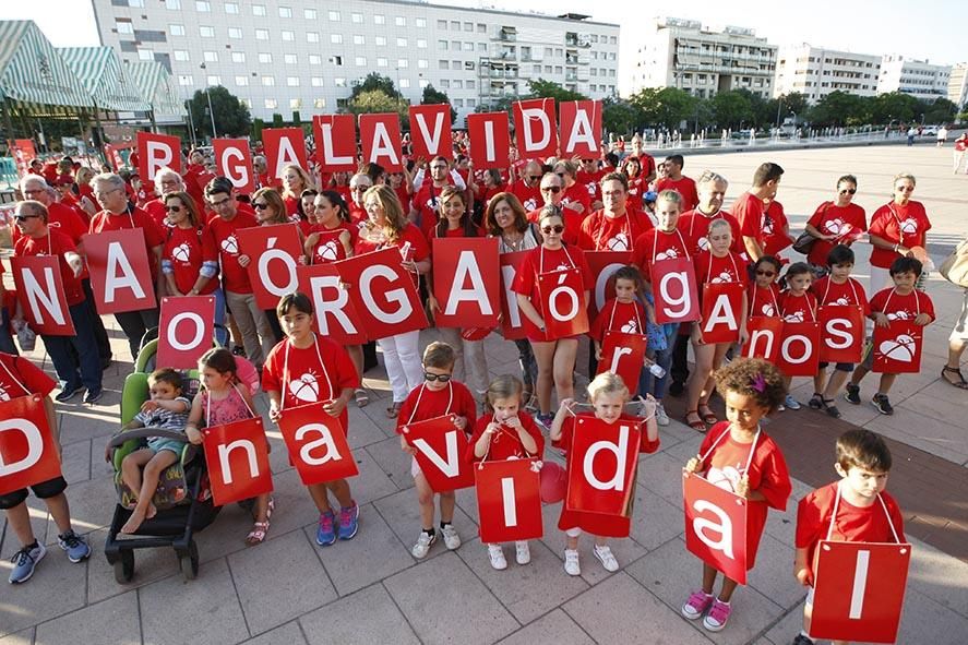 Fotogalería / Marcha del donante