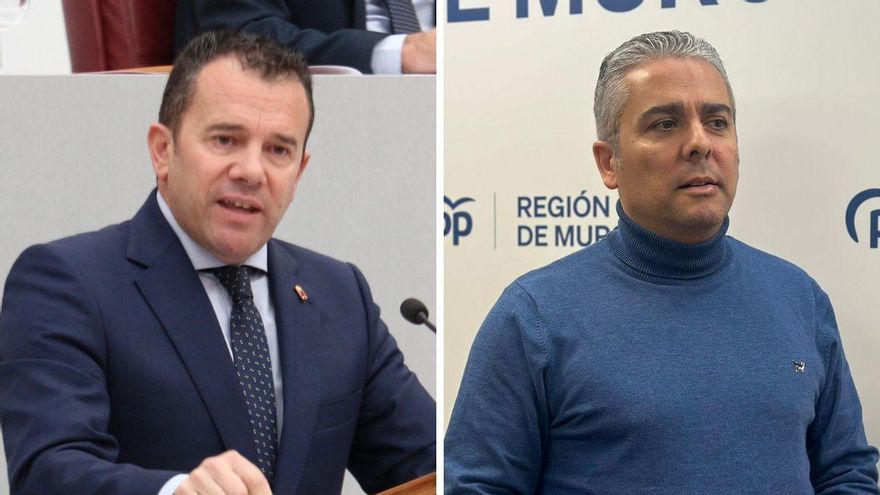 Las ayudas para el almendro, &quot;ni nuevas ni suficientes&quot;, según el PSOE