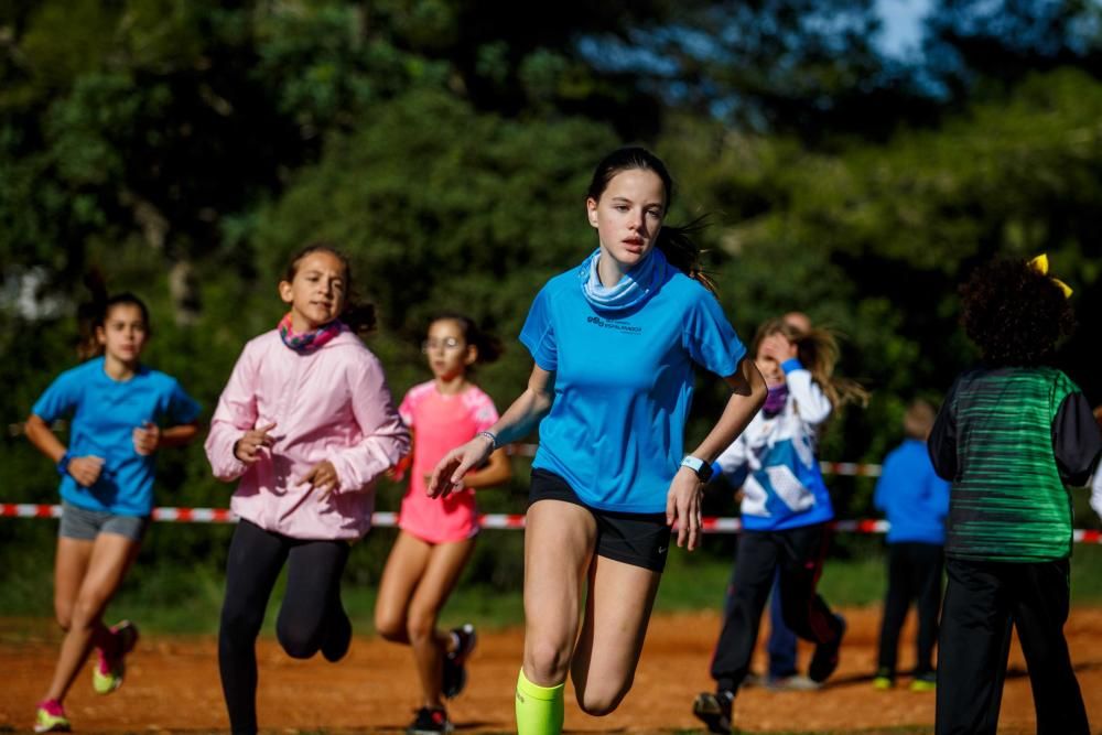 El circuito de cross de Buscastell acogió este sábado la primera prueba de campo a través de la temporada en Ibiza para categorías inferiores