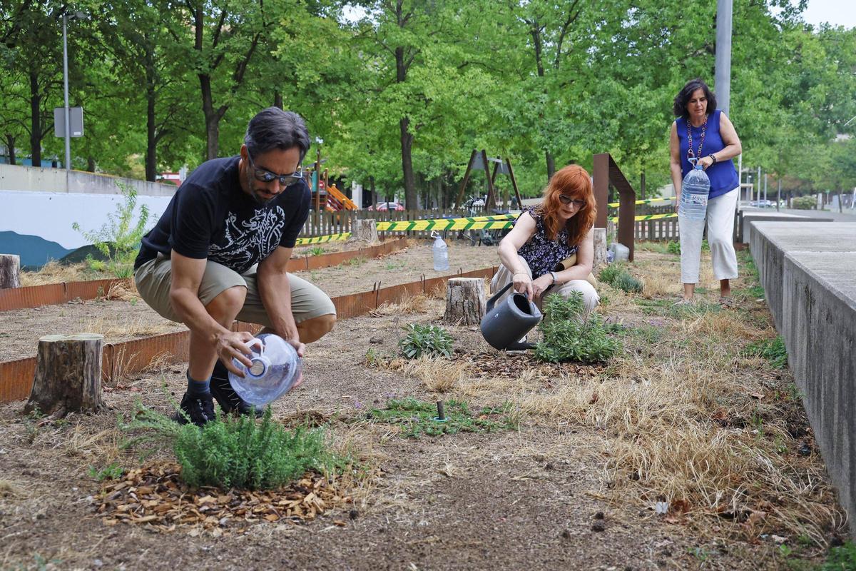 Els jardins es reguen entre diversos veïns voluntaris del barri