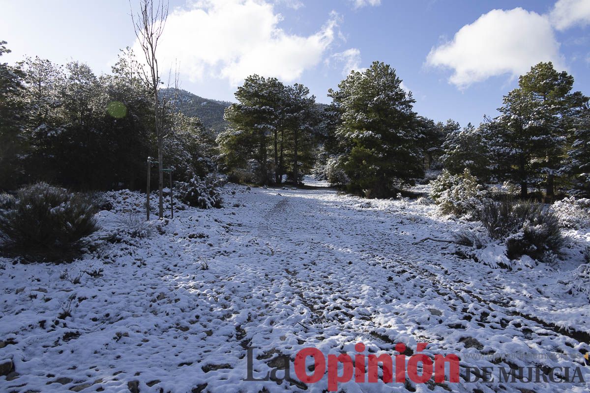 La nieve se hace presenta en las proximidades de Revolcadores