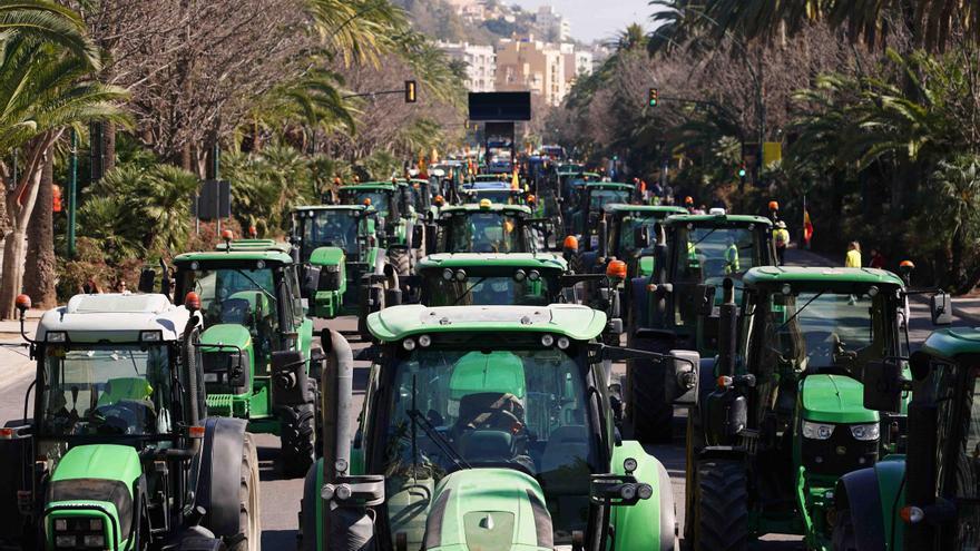 El campo malagueño volverá a movilizarse este lunes