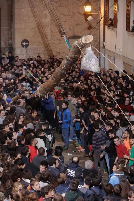 Sant Antoni 2018: Als die Kiefer in Pollença brach