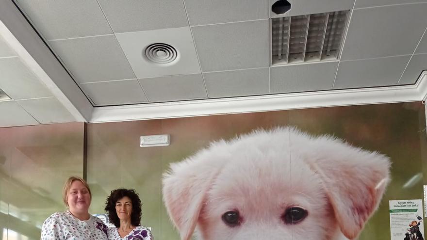 La clínica veterinaria Helike atiende a mascotas de todo tipo.