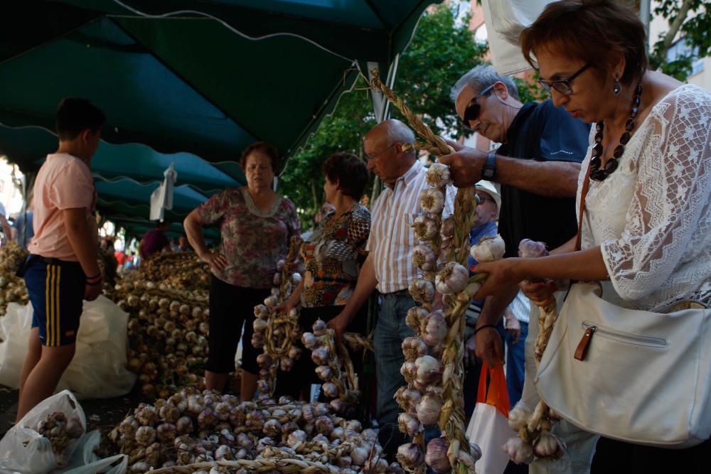 San Pedro 2016: Feria del Ajo