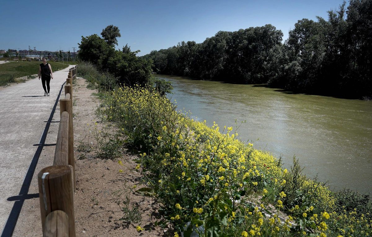 Arroyo de la Encomienda, el pueblo con más actividad económica de España