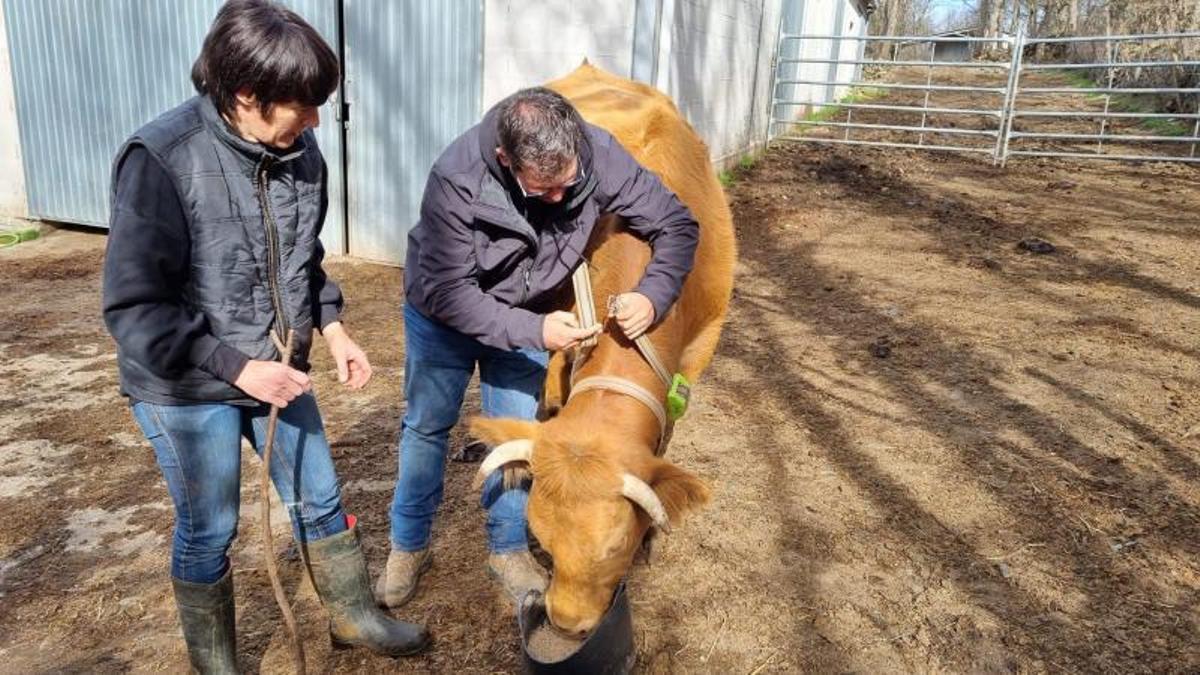 El joven aprendió cómo funciona el sistema de GPS.   | // FDV