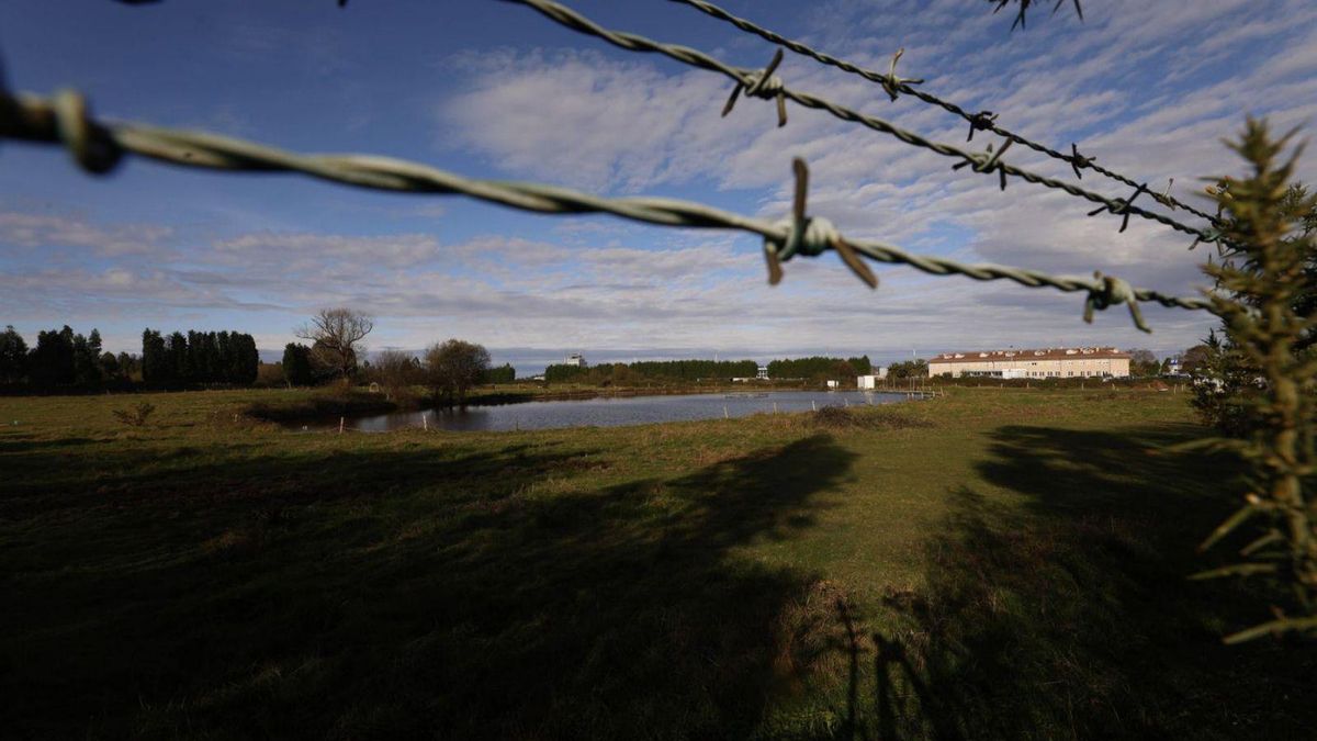 Parte de los terrenos que se incluirían en el parque logístico del aeropuerto, cuya torre de control asoma al fondo. | LUISMA MURIAS