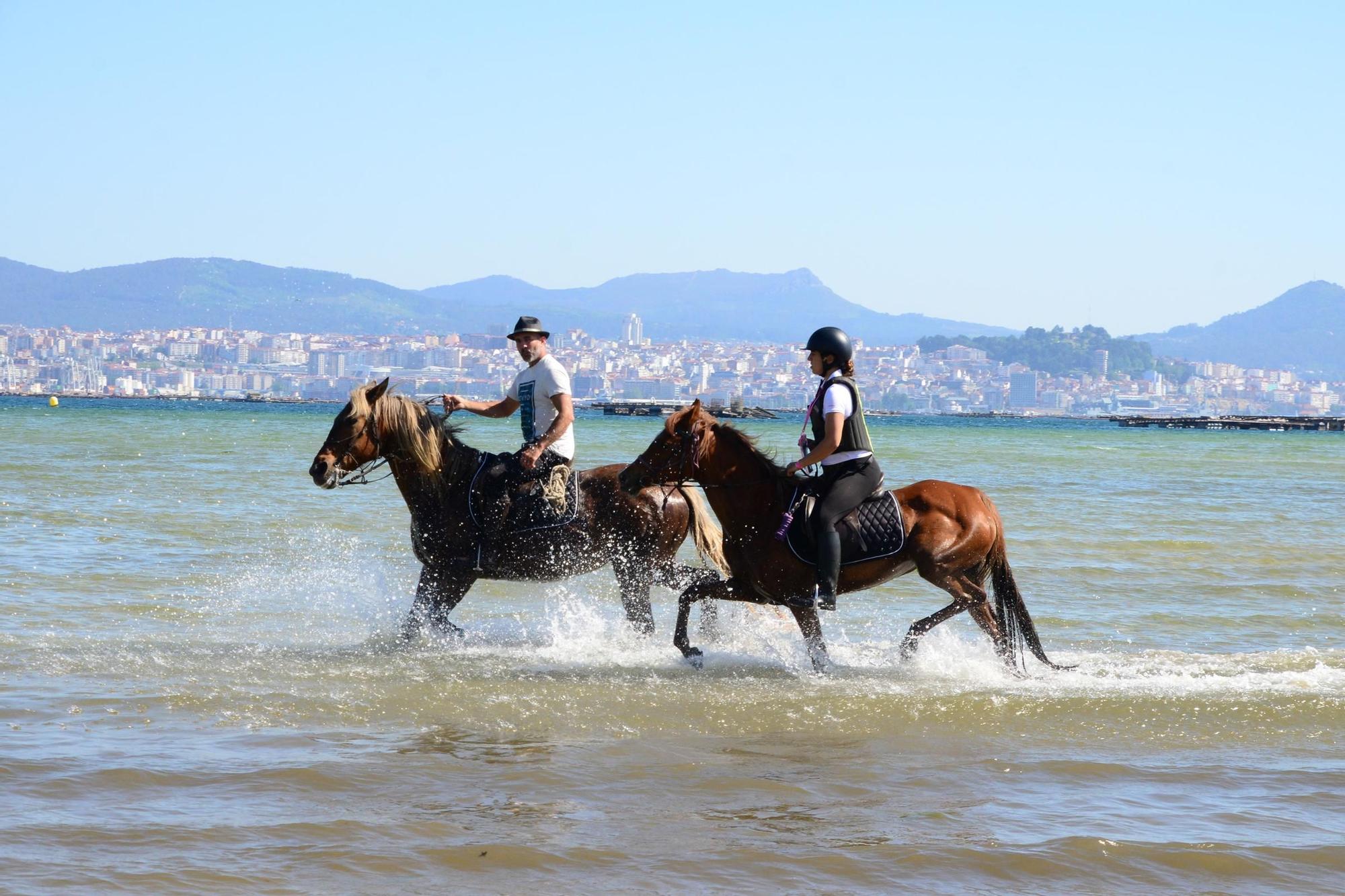 Una espectacular jornada a caballo por Moaña (I)