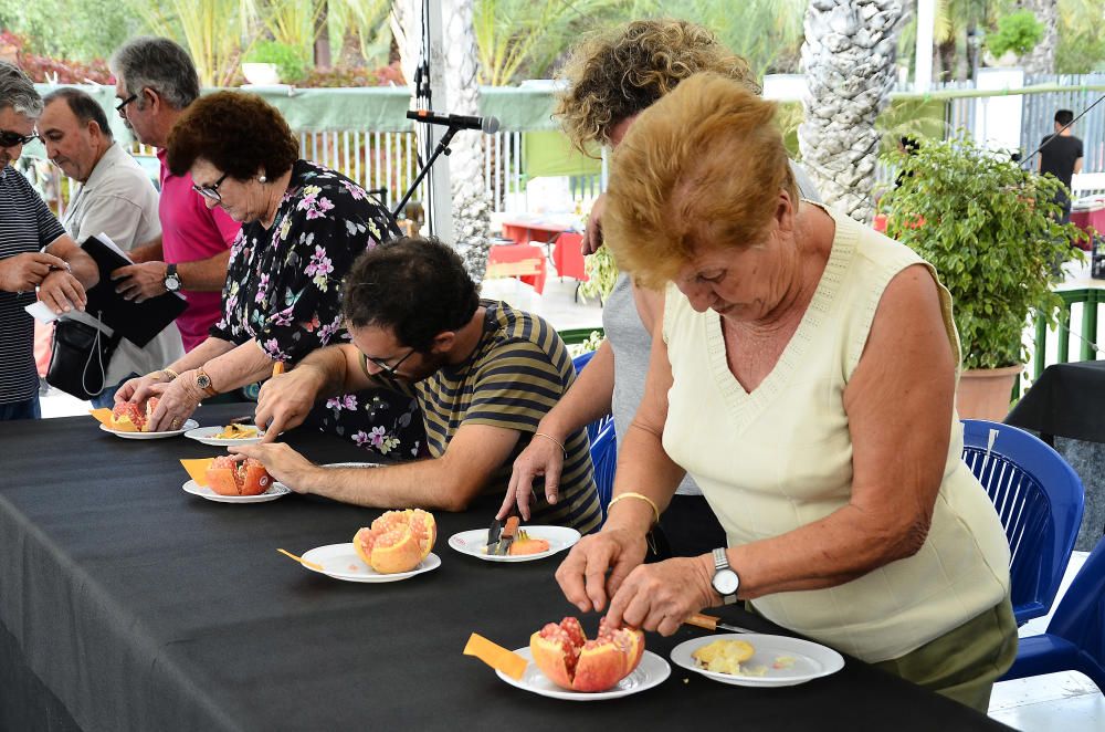 Concurso de pelar granadas en la Fireta del Camp d''Elx.