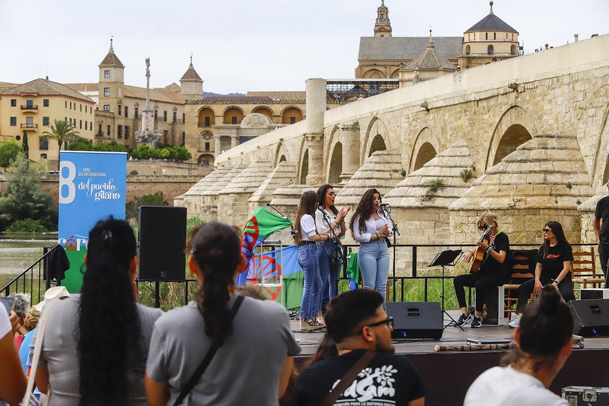 Día del pueblo gitano en Córdoba