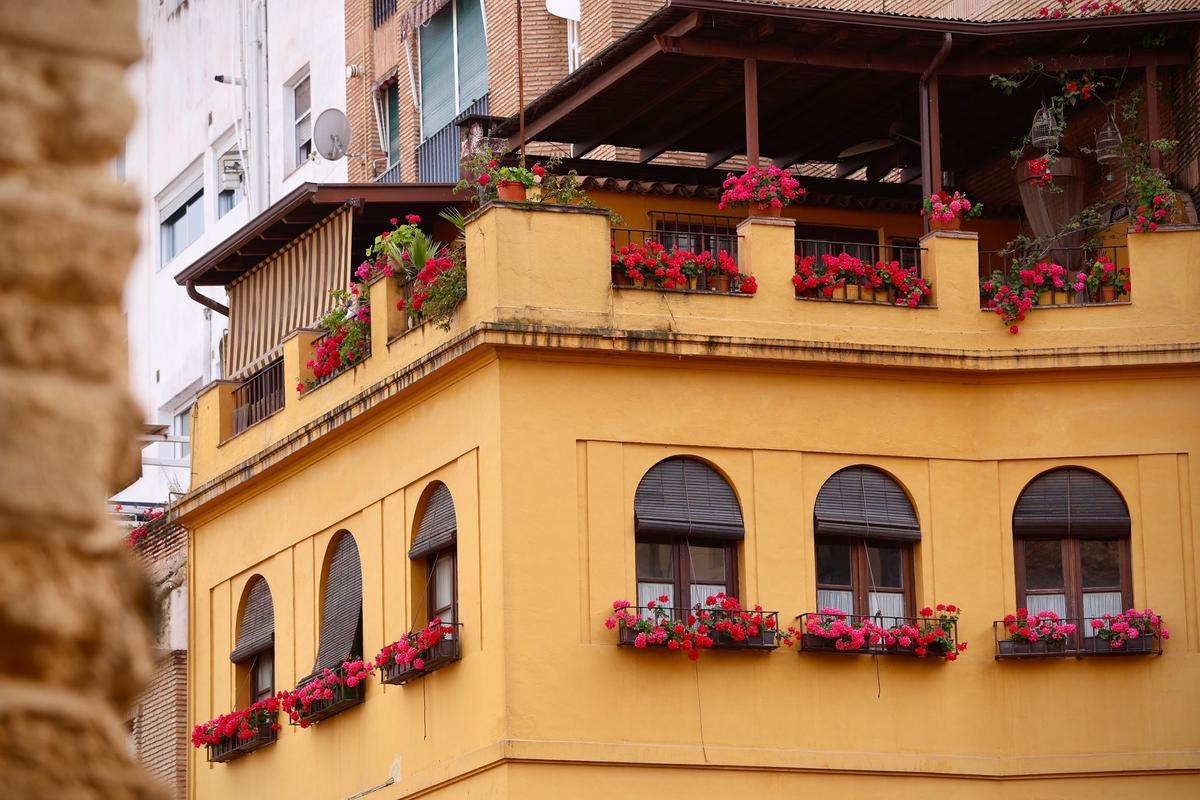 Ganadores del Concurso de Rejas y Balcones de Córdoba 2026