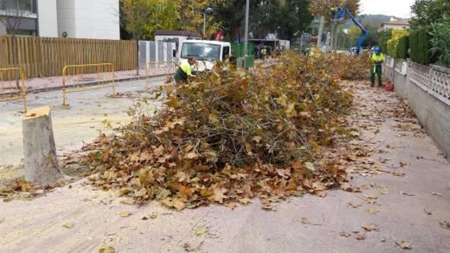 L&#039;Ajuntament de Palamós inicia la construcció d&#039;un nou tram del carril bici