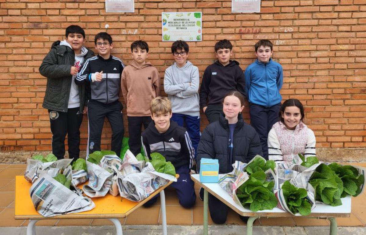 En Paniza se vendieron las lechugas del huerto escolar.  | SERVICIO ESPECIAL