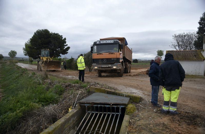 Impresionantes imágenes de la crecida del rio en Gelsa, Pinta y Quinto de Ebro