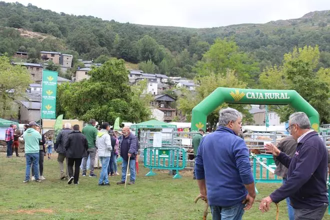 GALERÍA I Feria de agosto en Porto de Sanabria