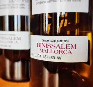 Las bodegas de la D.O. Binissalem inician la vendimia