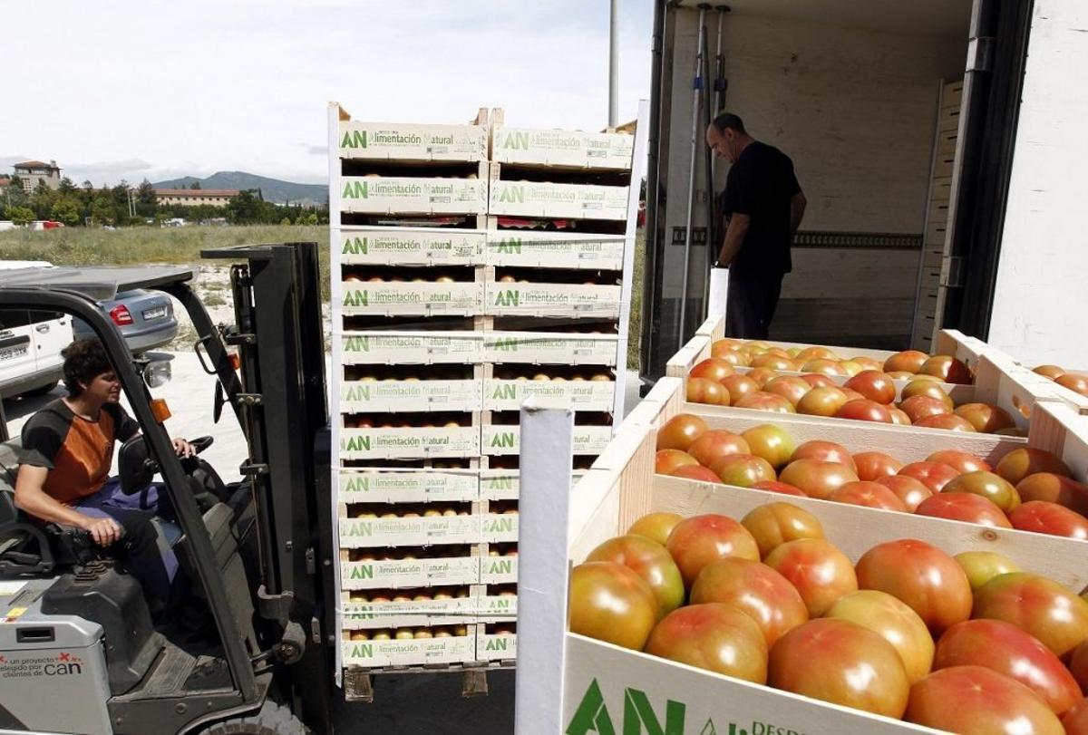 Tomates en un camión para su exportación.