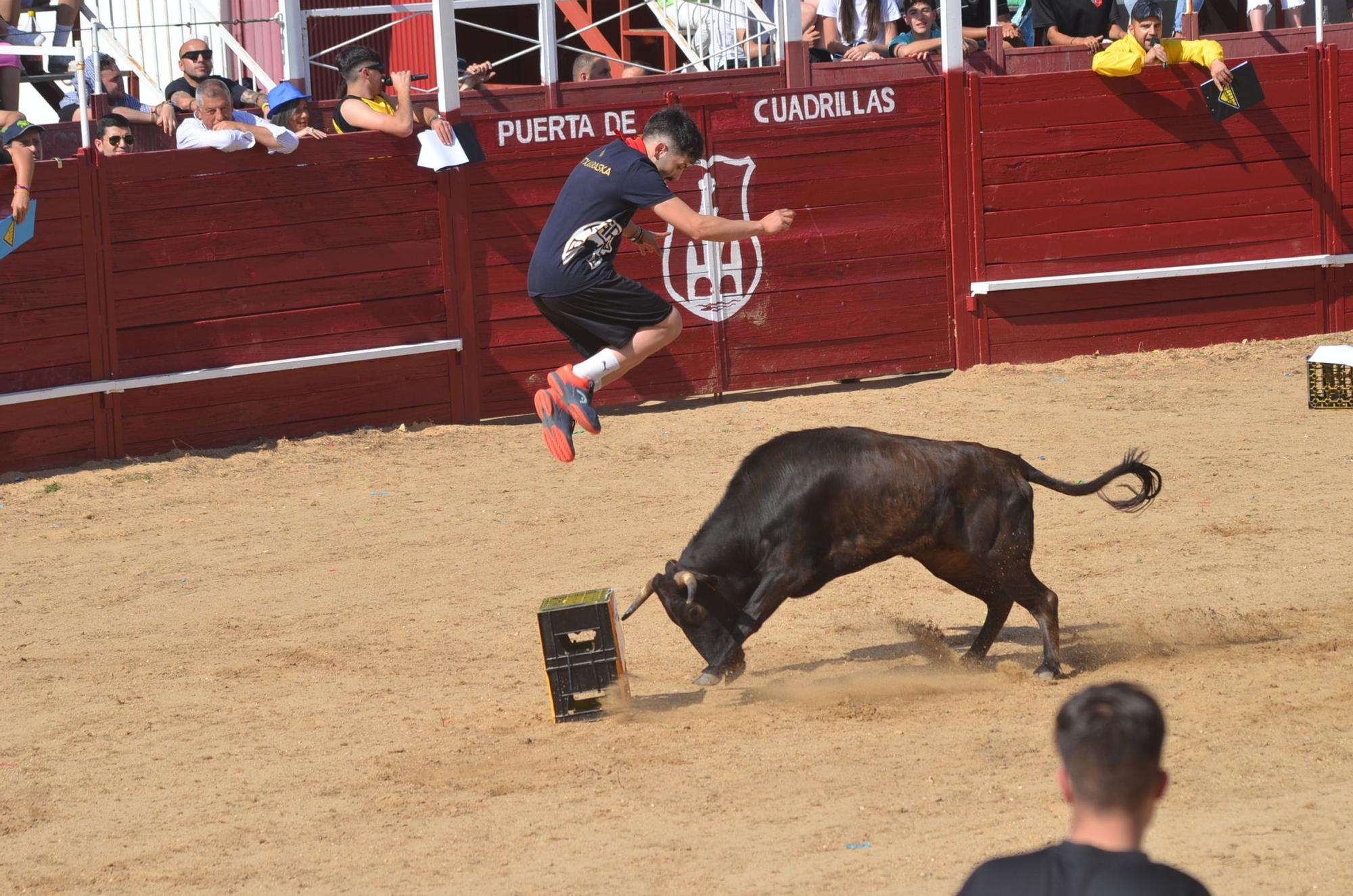 Fiestas del Toro en Benavente: Las mejores imágenes del "Juego de la NTE"