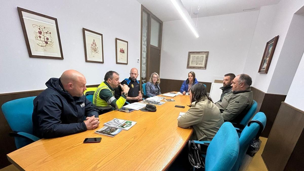 Reunión del dispositivo de seguridad de la prueba.