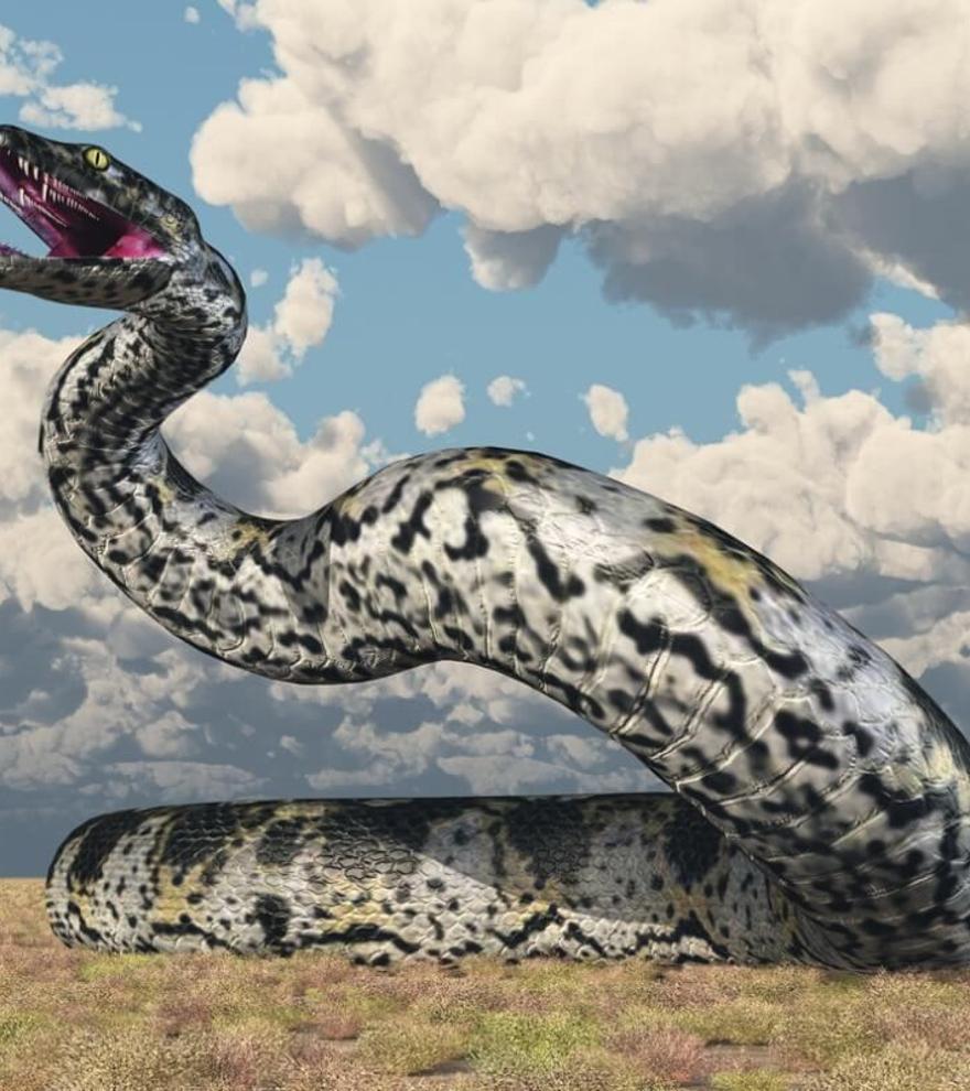 Descubren la que pudo ser la serpiente más grande de la Tierra: 1.000 kilos de peso