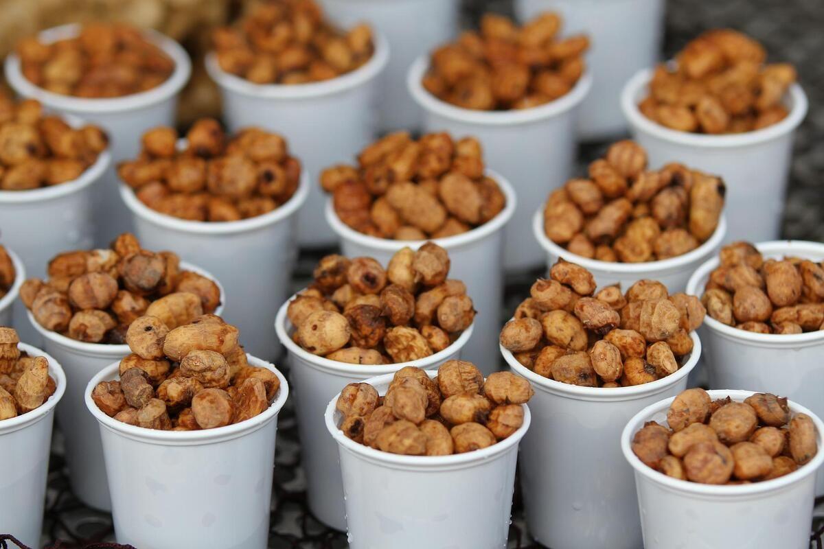 La horchata se obtiene de la chufa, un tubérculo comestible