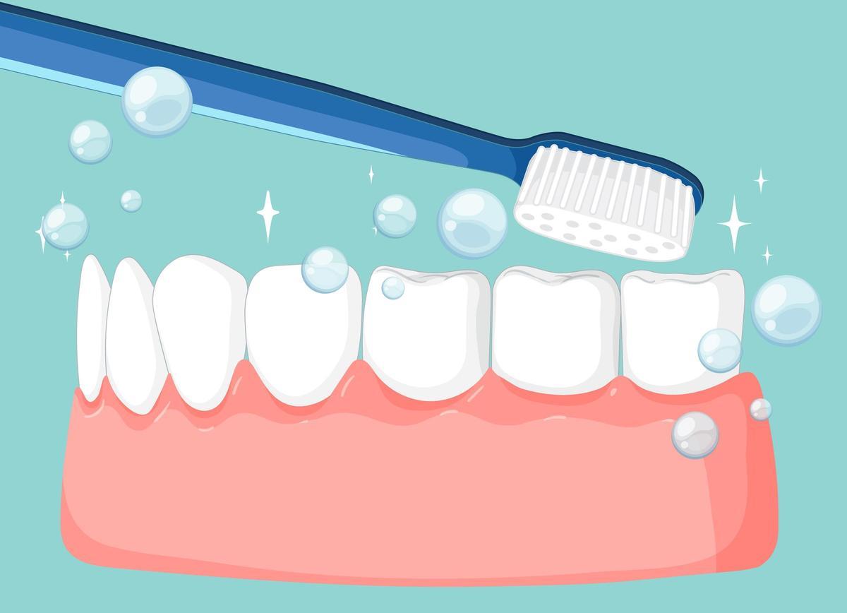 Durante la sesión se abordaron cuestiones tan cotidianas como el cepillado correcto, la influencia de la alimentación en la salud oral o qué hacer ante una fractura dental.