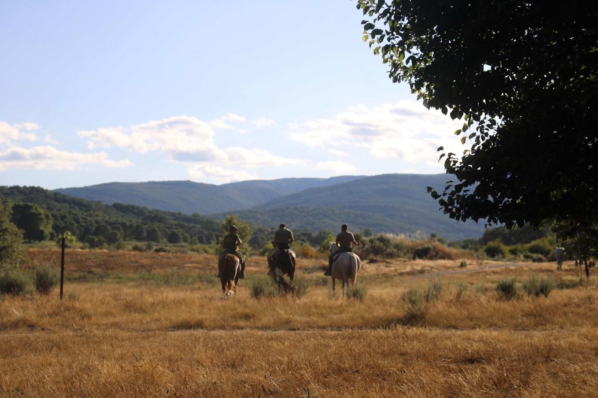 GALERÍA | Sanabria revive la transhumancia