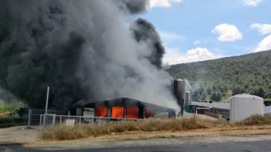 Mueren 10.000 gallinas en el incendio de una granja en Titaguas