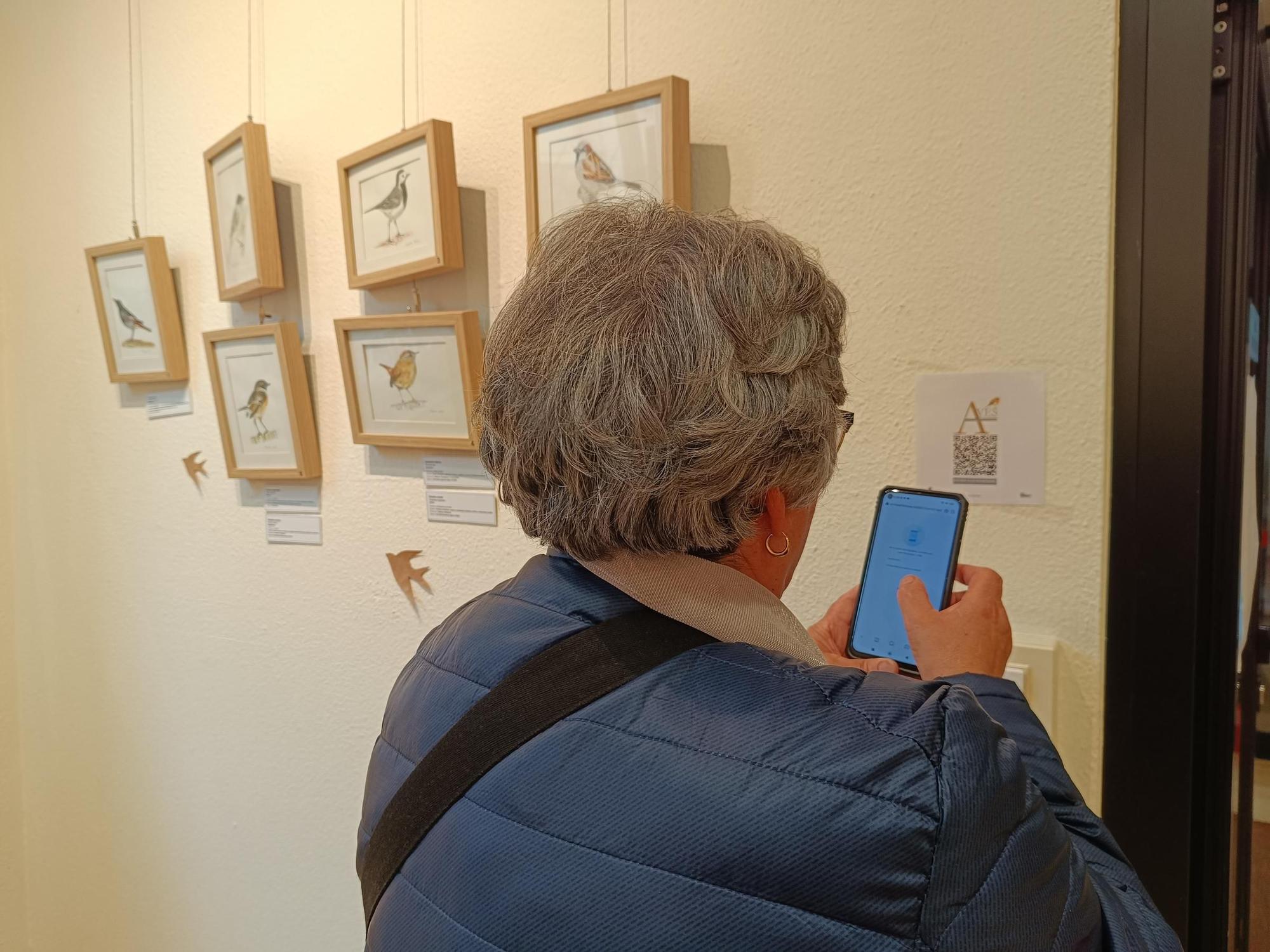 "Aves de tu entorno", la exposición de Isabel González en Posada de Llanera