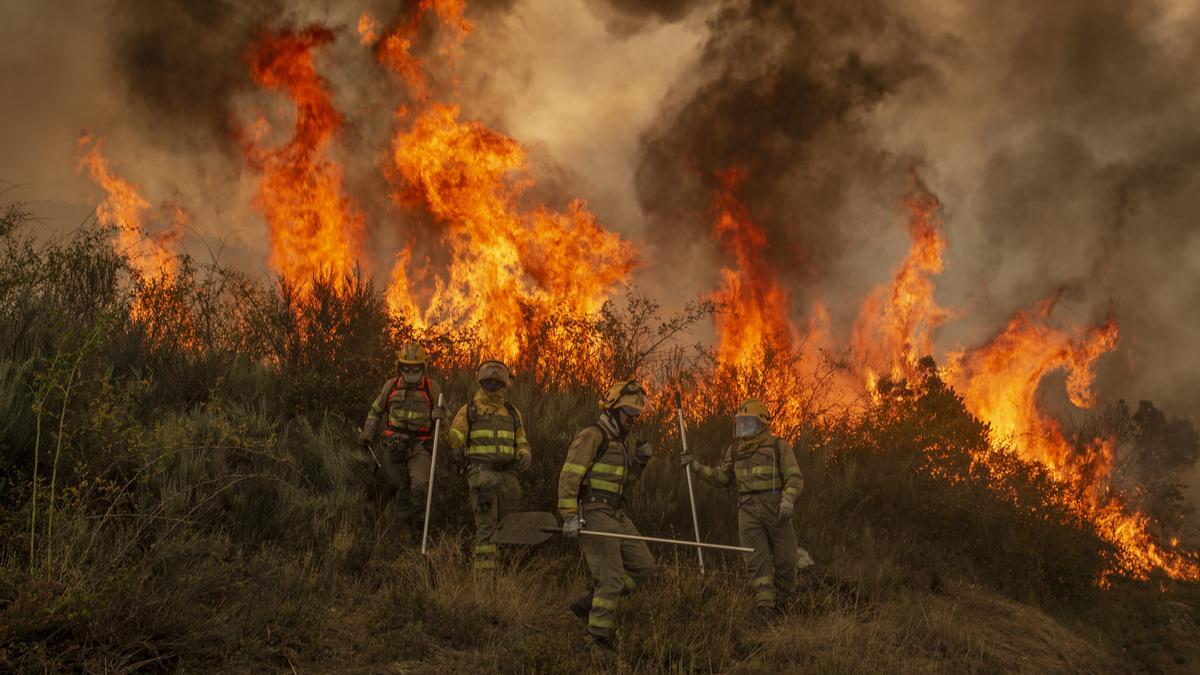 Incendio forestal en Cualedro.