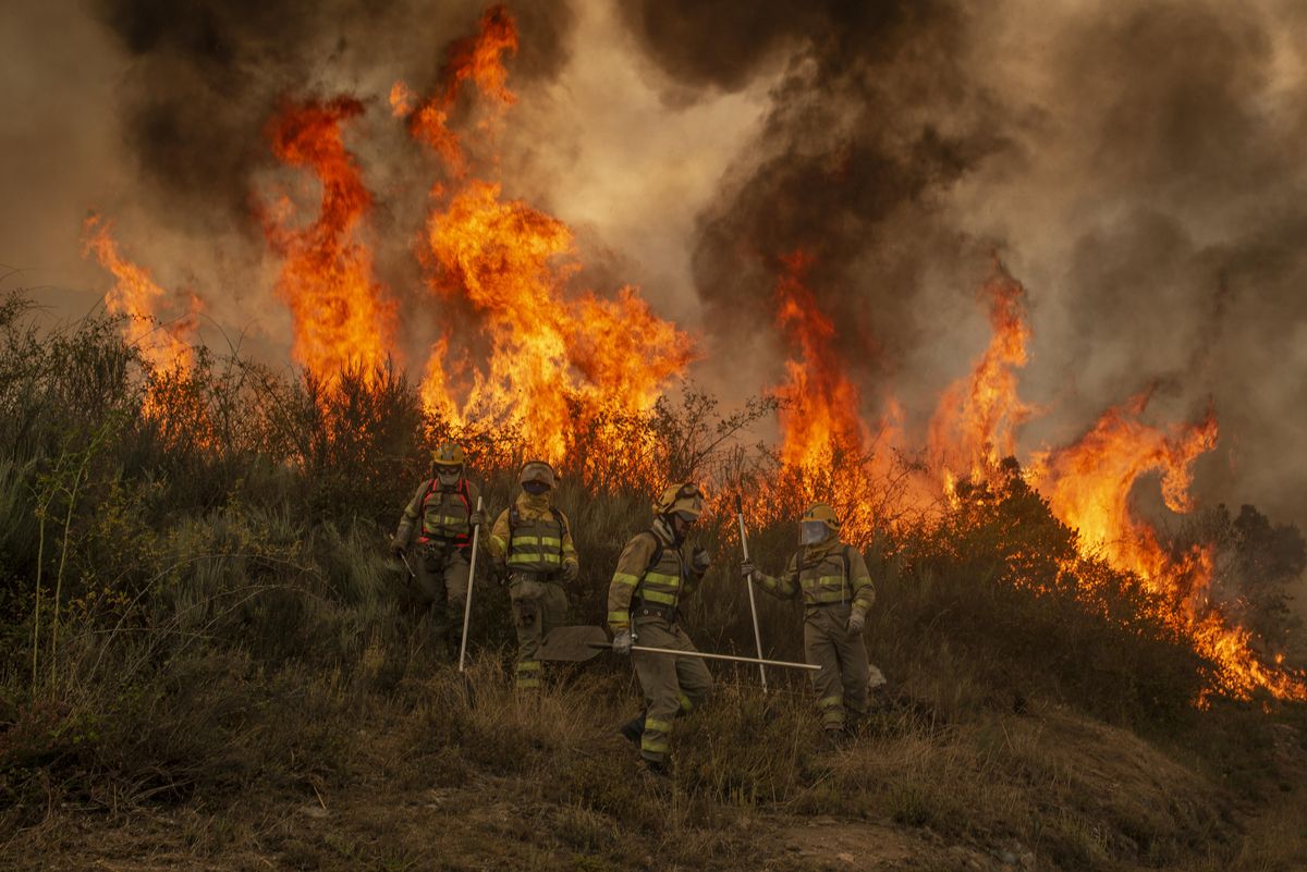 Incendio forestal en Cualedro.