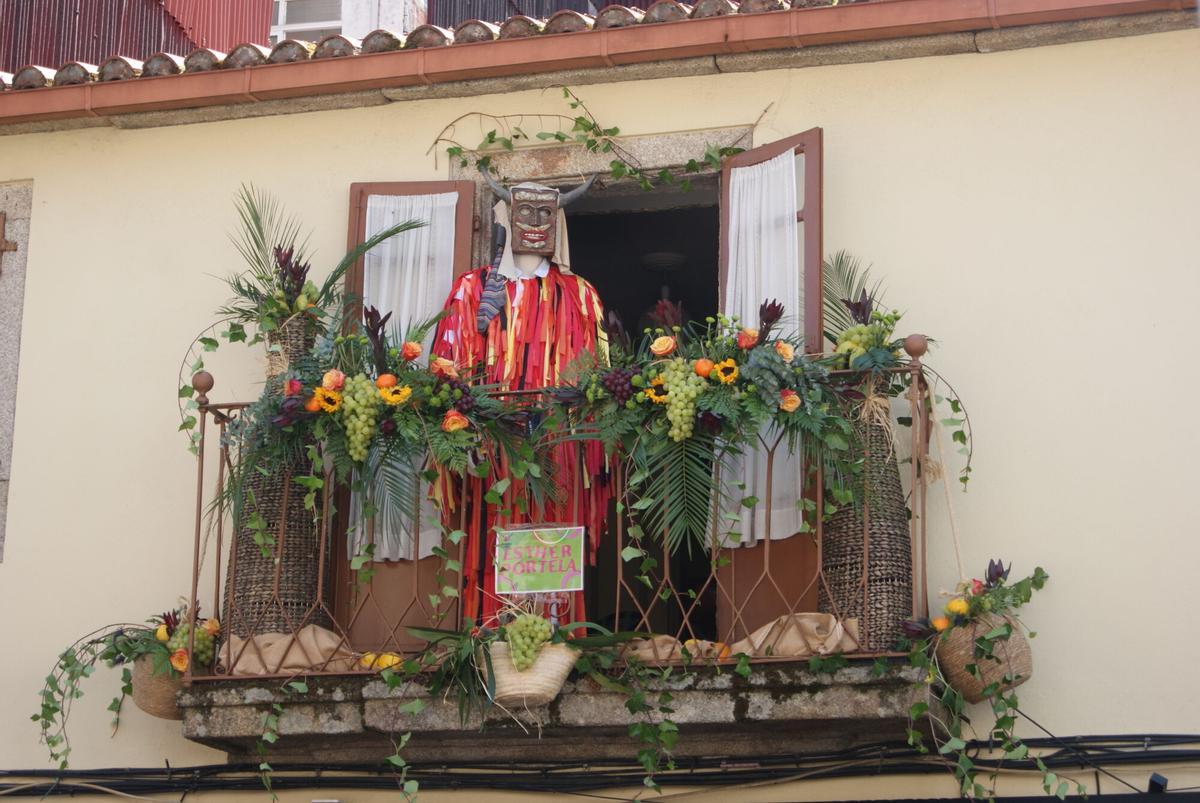Cacharelo nun balcón en agosto de 2025.