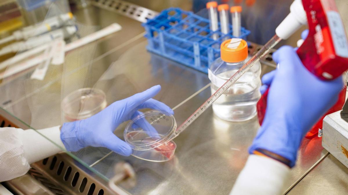 Profesional desarrollando labores de investigación.