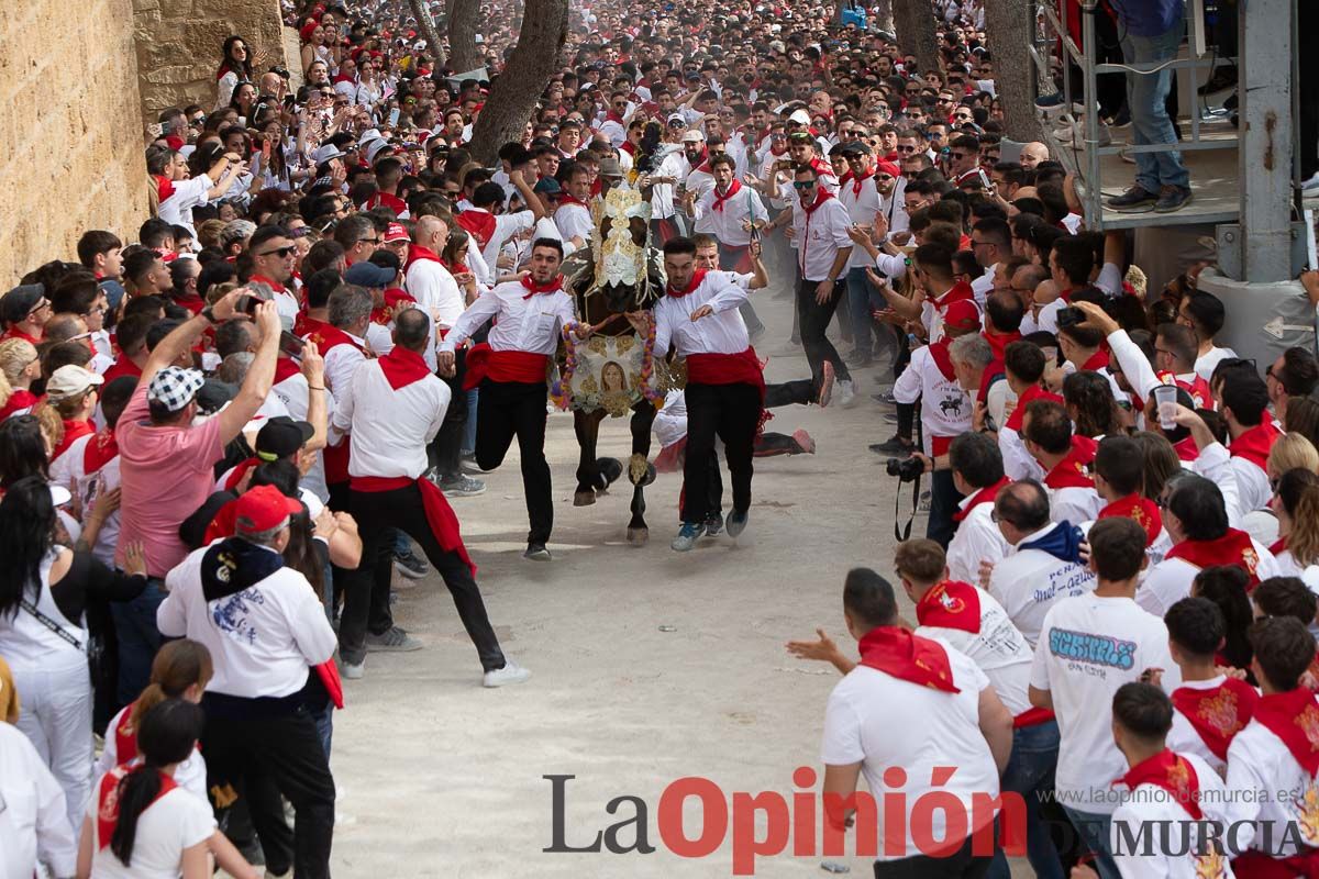 Así ha sido la carrera de los Caballos del Vino en Caravaca