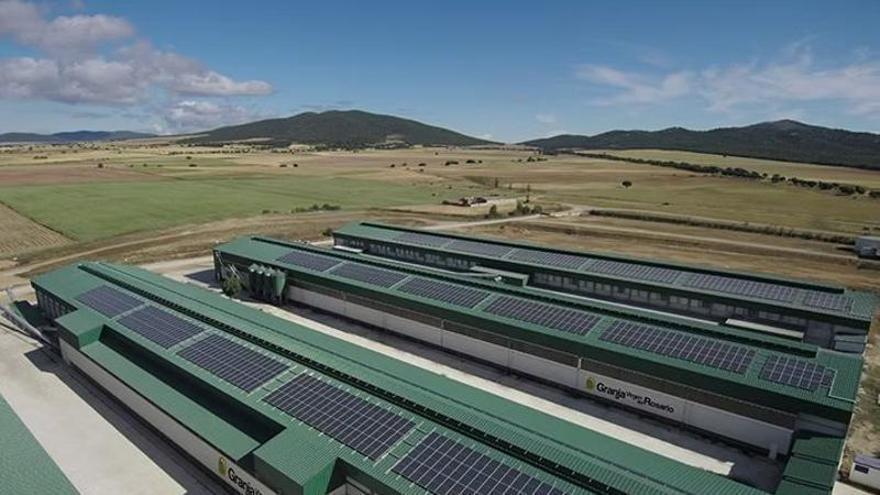 Una granja de Zaragoza, en el punto de mira por la alerta internacional de salmonela que afecta al menos a 13 personas