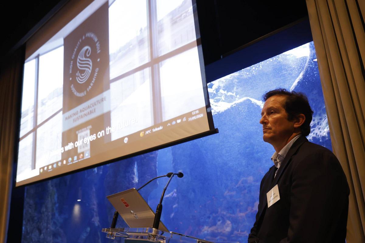 Sea Eight prevé llevar al mercado en noviembre de 2029 la producción de la fase integral de su planta de Gijón, en imágenes