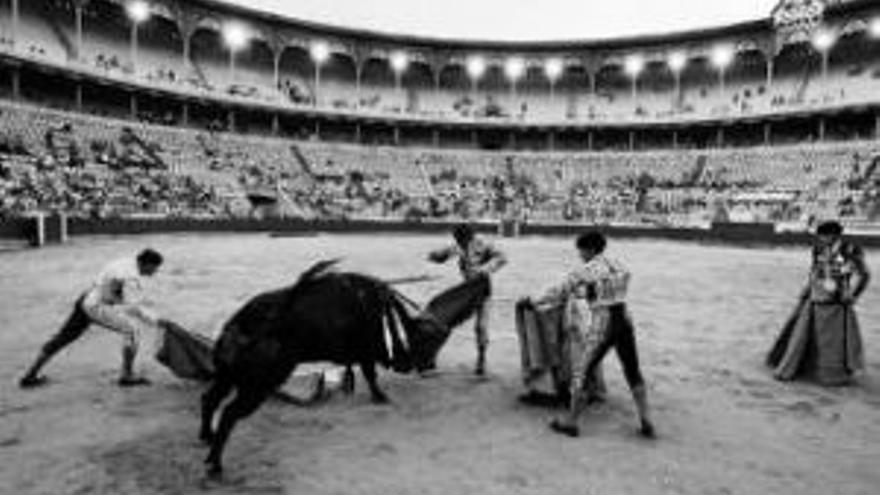 Los profesionales del toreo piden libertad para ir a las corridas